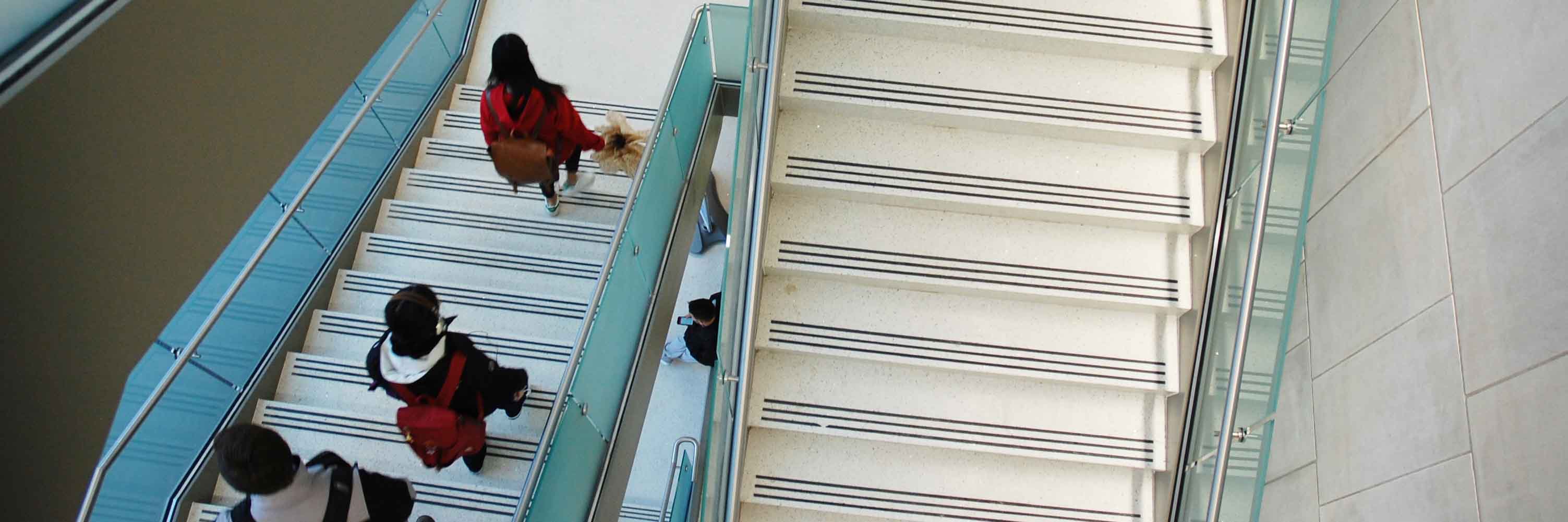 Students on steps